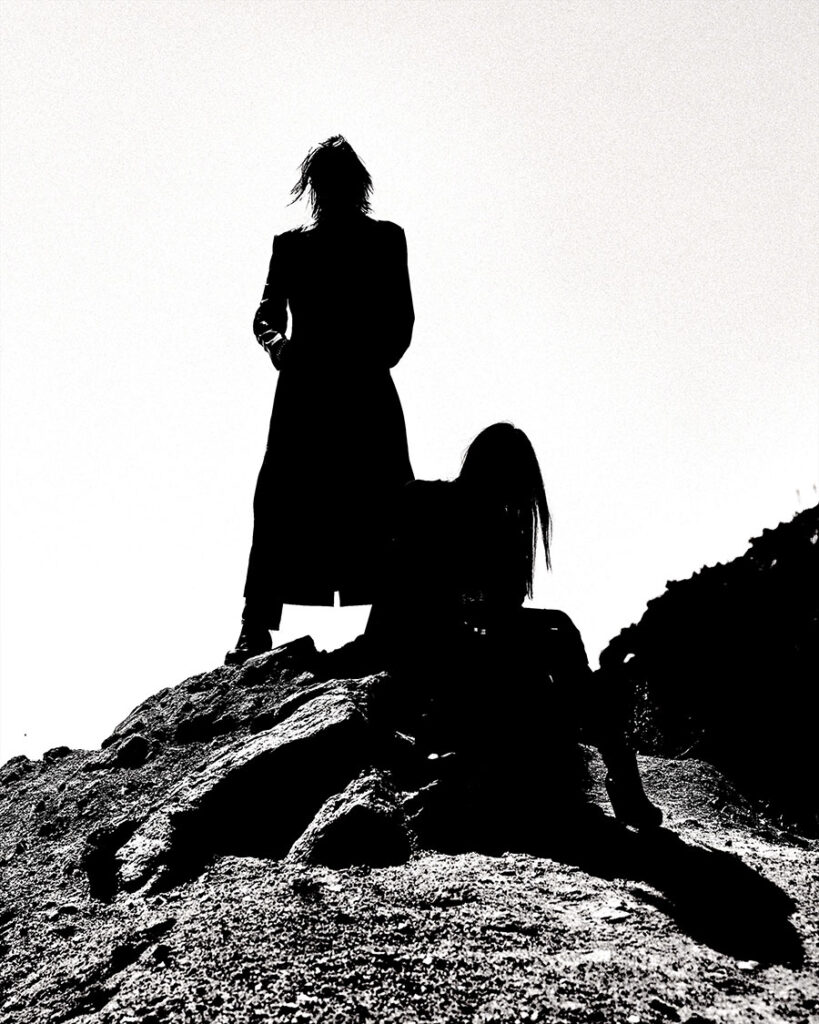 cold cave wesley eisold and amy lee - photo by travis shinn 2025